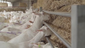 Foodmakers - Afl. 6