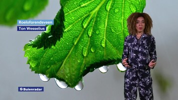 Rtl Weer - Laat