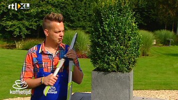 Koffietijd Tuinmannen: buxus snoeien