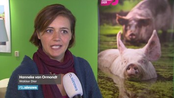 RTL Nieuws 09:00 uur