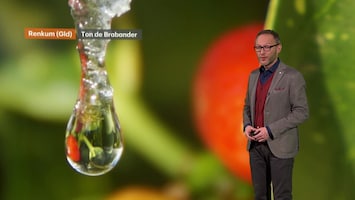 Rtl Weer - Laat