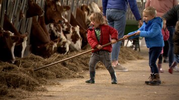 Onder de modder: kinderopvang op de boerderij steeds populairder