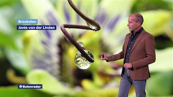 Rtl Weer - 19:55 Uur