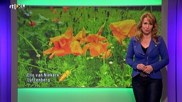 Rtl Weer - 19:55 Uur