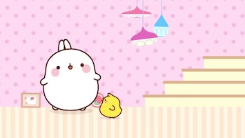 Molang - Afl. 42