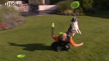 Koffietijd Dogfrisbee