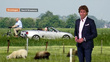 Rtl Weer - Laat