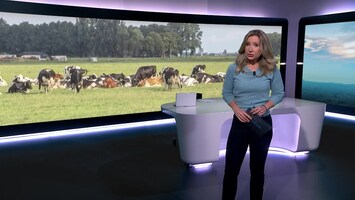 Rtl Nieuws - 19:30 Uur - 06:30 Uur