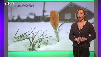 Rtl Weer - Laat