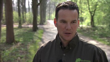 RTL Nieuws 19:30 uur