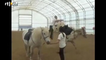 Editie NL Paard trapt man keihard