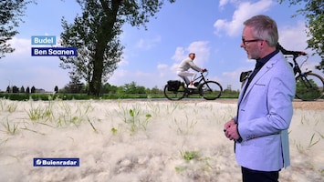 Rtl Weer - Laat