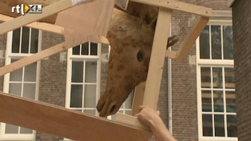 RTL Nieuws 10 Miljoen dode dieren verhuisd