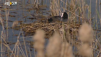 RTL Nieuws Van gifbelt naar natuurgebied