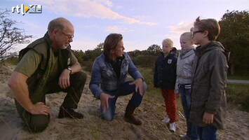 Green-kids Alles over de duinen