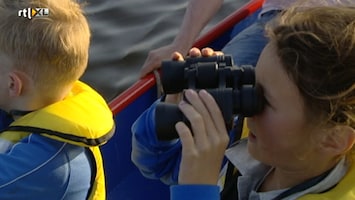 Green-kids - Vogels Spotten