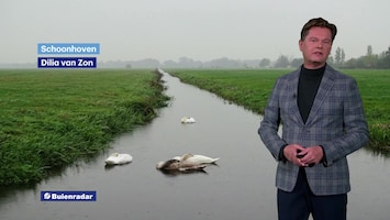 Rtl Weer - 19:55