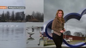 RTL Weer Laat