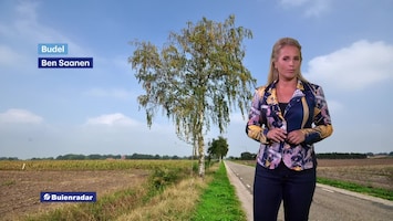 Rtl Weer - 19:55 Uur