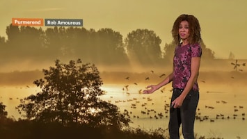 Rtl Weer - 19:55 Uur