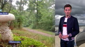 Rtl Weer - Laat