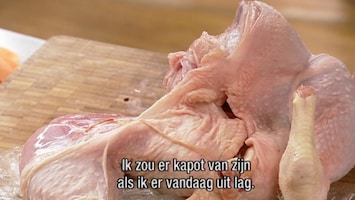 Masterchef Masterchef Aflevering 33