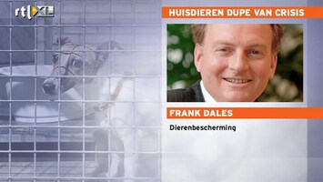 RTL Z Nieuws Huisdieren zijn de dupe van de crisis