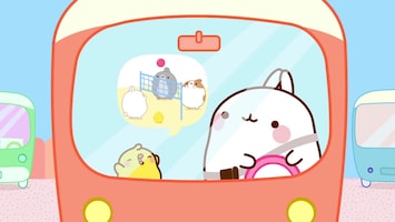 Molang Afl. 18