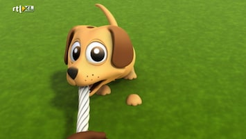 Jokie Hondje