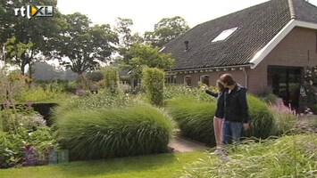 Eigen Huis & Tuin Wat zijn de droomtuinen van Janine ten Horn?