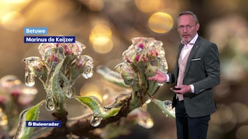 Rtl Weer - 19:55