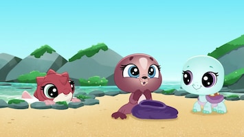 Littlest Pet Shop: A World Of Our Own Afl. 41