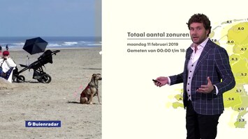 Rtl Weer - Laat