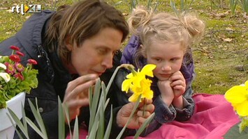 Green-kids Waarom hebben bloemen zoveel kleuren?