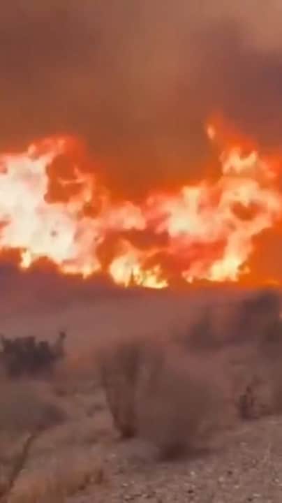 Zeker 11 doden door bosbrand Zuid-Spanje
