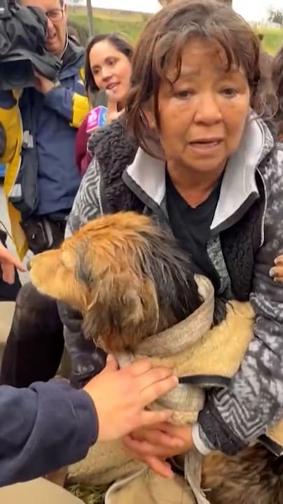 Hond urenlang meegesleurd door rivier Chili