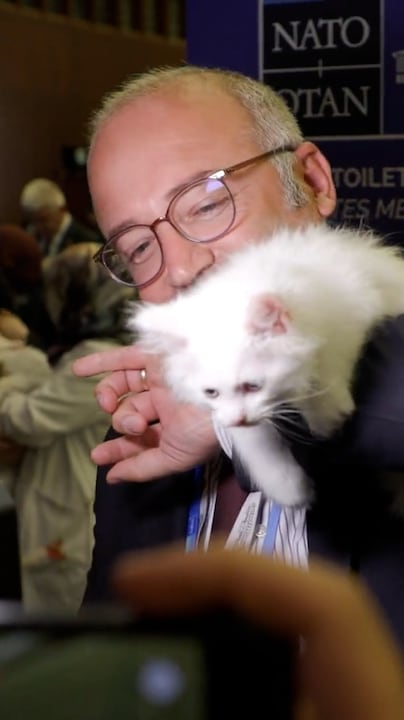 Katten stelen show tijdens NAVO-top