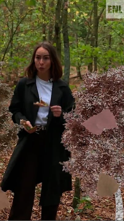 Het lijkt wel herfst