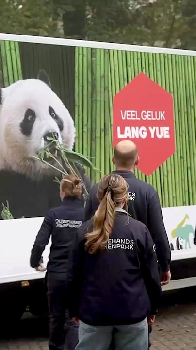 Tranen bij afscheid van panda