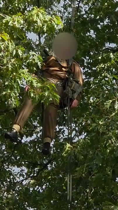 Parachutist belandt in boom