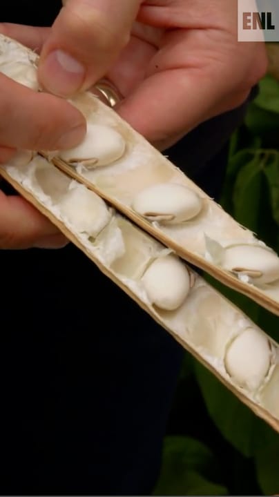 Deze boon maakt thuisdialyse mogelijk
