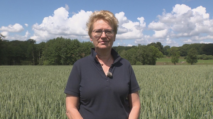 Uitgekocht worden? Carla met haar kippenboerderij peinst er niet over