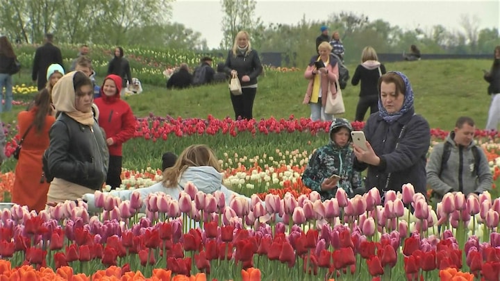 Nederlandse tulpen laten Oekraïens dorp na bezetting stralen