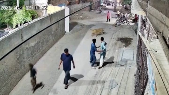 Leeuw ontsnapt, en springt op de rug van vrouw in Pakistan: 'Kooi niet op slot'