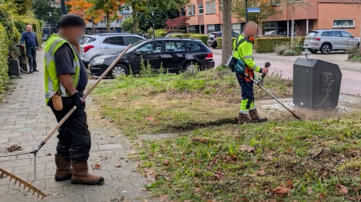 Buurt woest: gemeente maait jaren werk in één maaibeurt weg