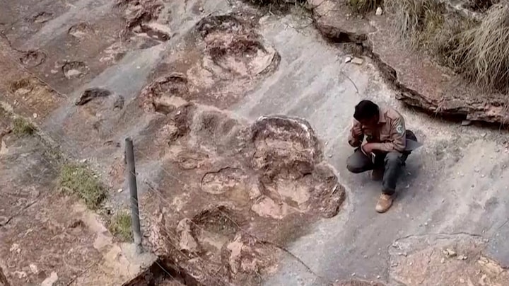 16.600 voetafdrukken: langste dinospoor ter wereld ontdekt in Bolivia