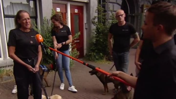 Signi honden brengen laatste eerbetoon aan Peter R. de Vries