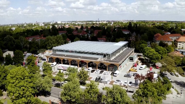 Van het dak tot het schap: deze supermarkt verbouwt eigen sla