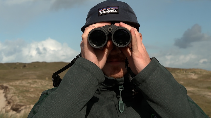 Eén appje over bijzondere vogel en groep spotters houdt het niet meer