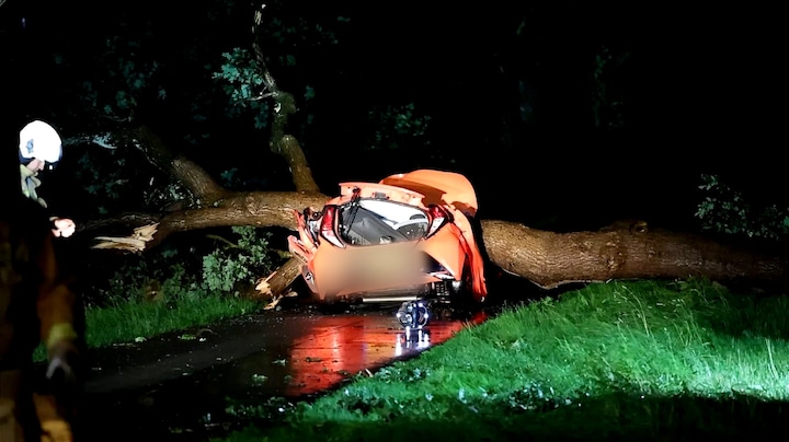 25-jarige vrouw overleden na boom op auto tijdens noodweer